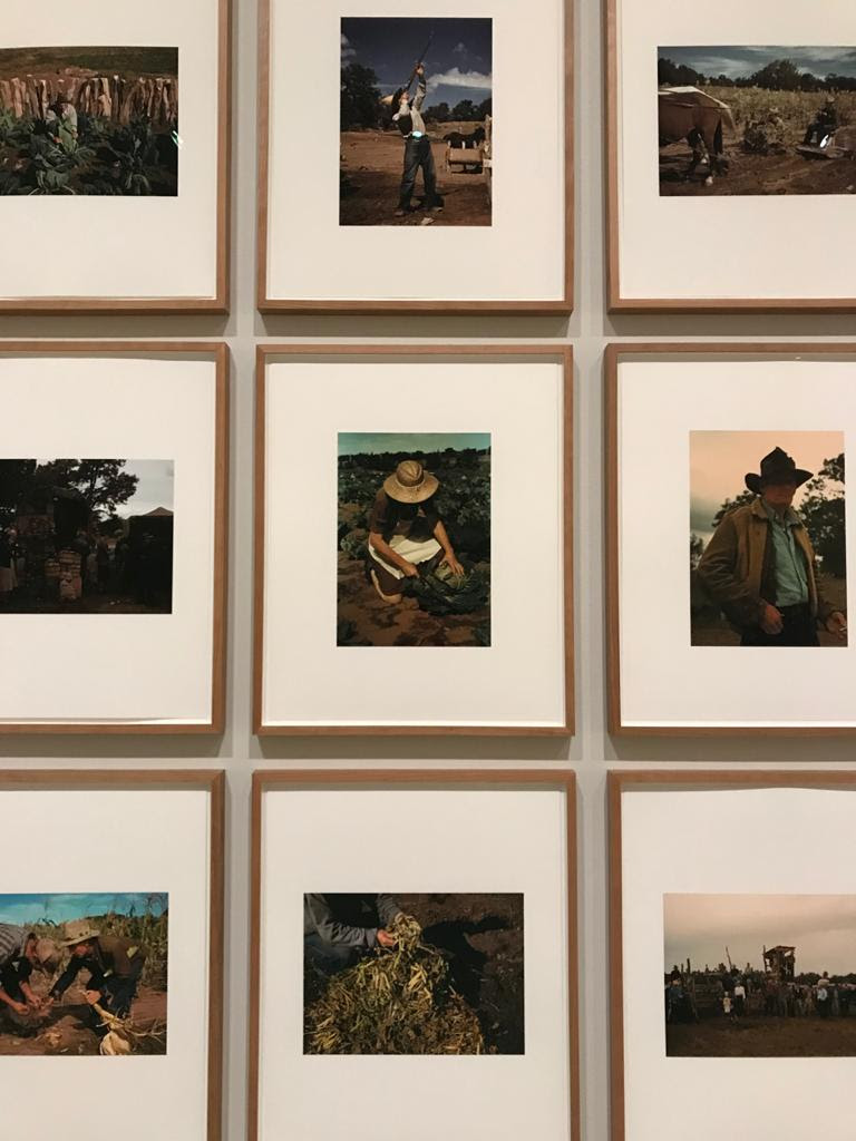 Agricultor - diezmil.org