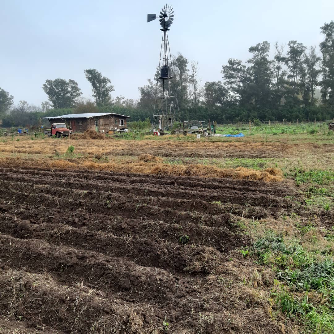Huerta Los Gamos Agustino Fabrizzi