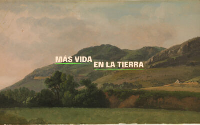 Identidad y propuesta de valor