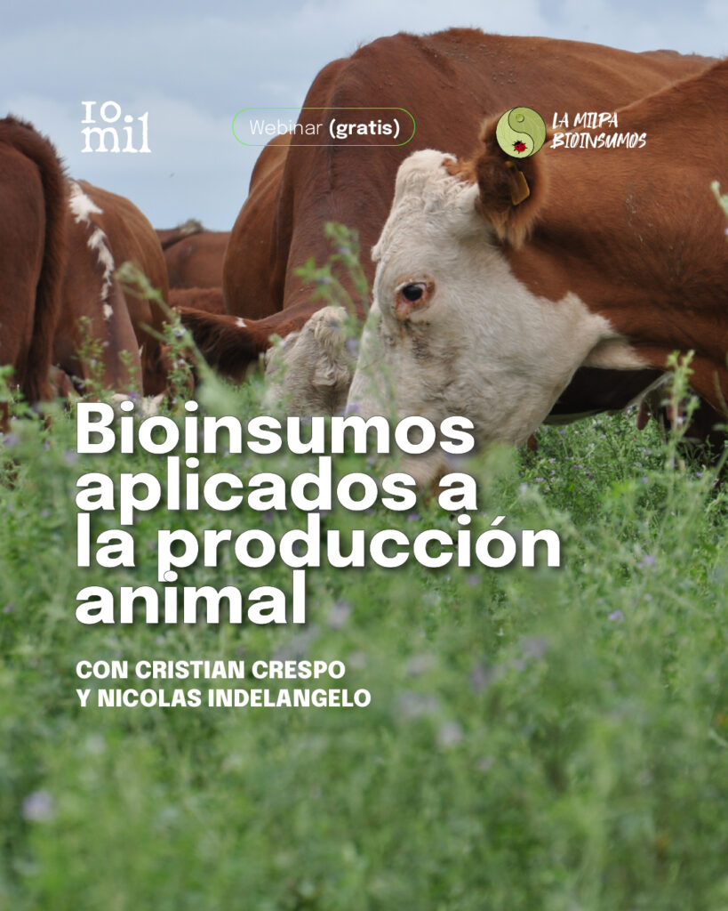 Webinar: Bioinsumos aplicados a la producción animal.
