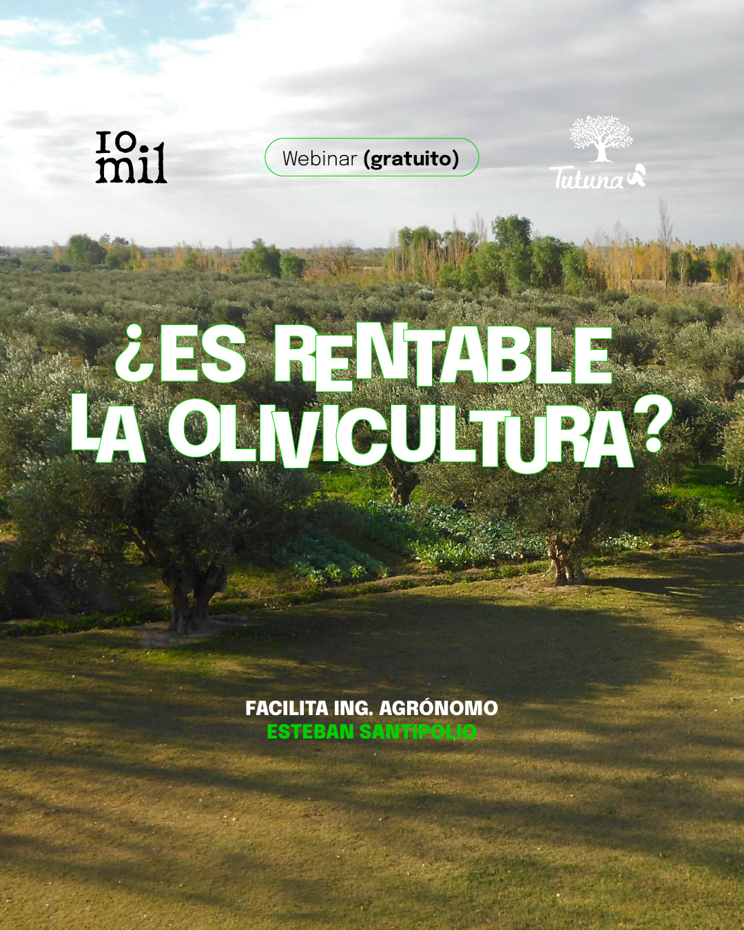 Webinario: ¿Es rentable la olivicultura?