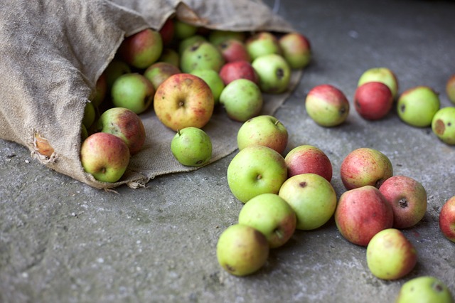 2301 Apple