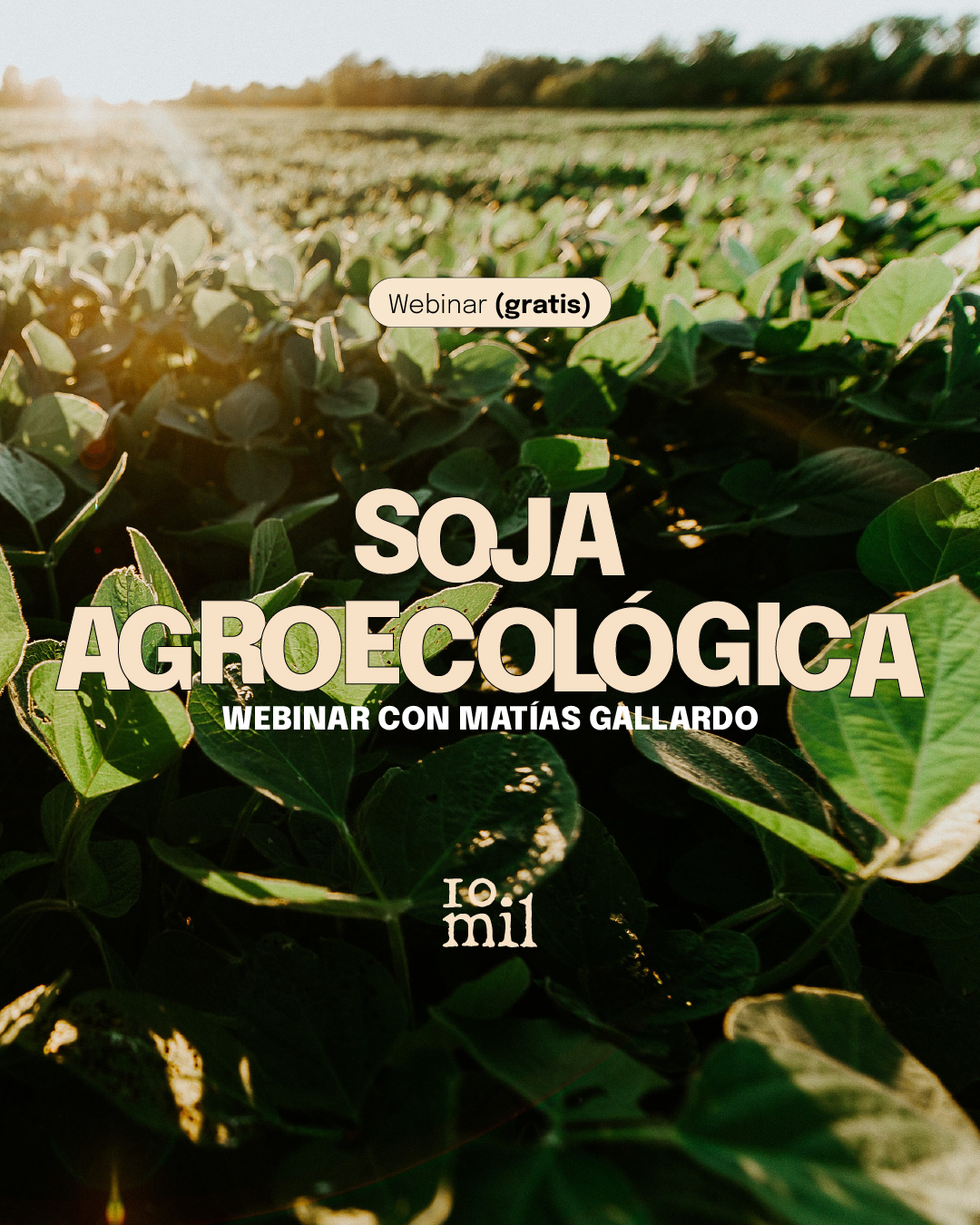 Webinario: Soja Agroecologica